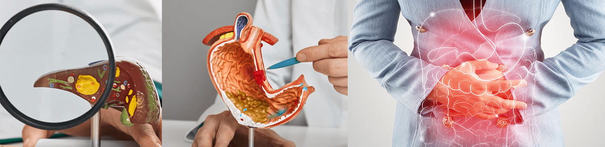 Hepatology & Gastro Enterology
