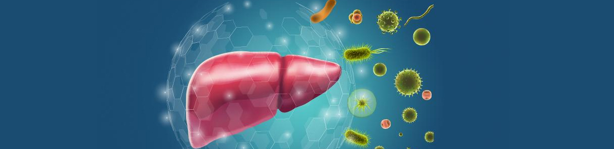 Auto Immune Liver Profile Panel